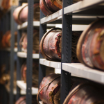 Bristol Archives Credit Neil McCoubrey