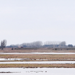 Boston-2000x500-RSPBFrampton-Landscape027.JPG