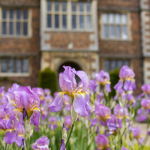 Doddington Hall Gardens