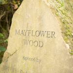 MayflowerwoodsignageDetail.jpg