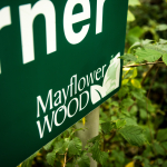 MayflowerwoodSignPic.jpg