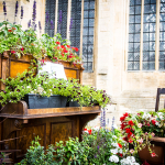 Boston Stump - St Botolph's Church
