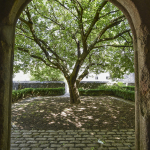 Elizabethan Gardens