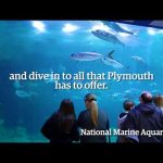 A Rainy Day in Plymouth Itinerary