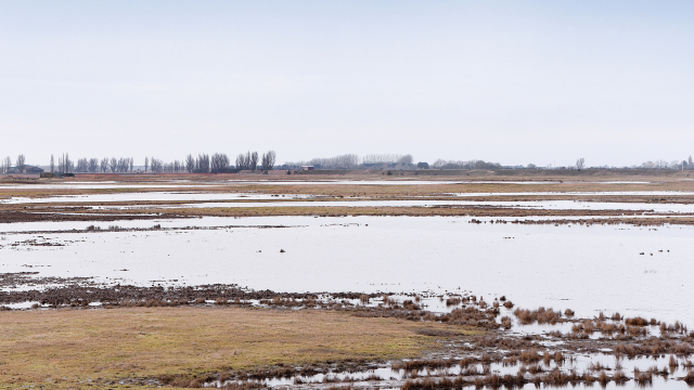 Boston-2000x1200-RSPBFrampton-Landscape027.JPG