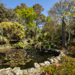 Penzance Credit Matt Jessop