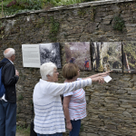 The Lost Gardens of Heligan St.Austell