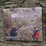 The Lost Gardens of Heligan St.Austell