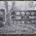 The Lost Gardens of Heligan St.Austell