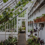 The Lost Gardens of Heligan