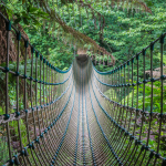 The Lost Gardens of Heligan St. Austell
