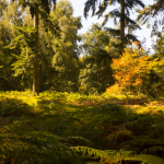 Marks Hall Arboretum