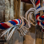 Winchester Cathedral 