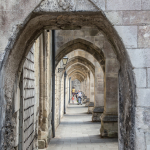 Winchester Cathedral