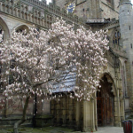 St Marys Church Nottingham City Centre